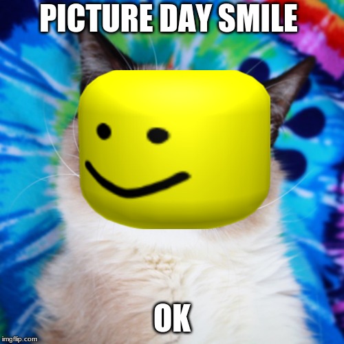 PICTURE DAY SMILE; OK | image tagged in grumpy cat,roblox,picture | made w/ Imgflip meme maker