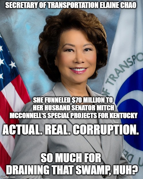 Say Hello to | SECRETARY OF TRANSPORTATION ELAINE CHAO; SHE FUNNELED $70 MILLION TO HER HUSBAND SENATOR MITCH MCCONNELL'S SPECIAL PROJECTS FOR KENTUCKY; ACTUAL. REAL. CORRUPTION. SO MUCH FOR DRAINING THAT SWAMP, HUH? | image tagged in donald trump,government corruption,conservative hypocrisy | made w/ Imgflip meme maker