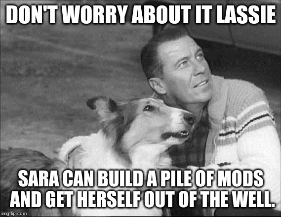 What's that Lassie? | DON'T WORRY ABOUT IT LASSIE; SARA CAN BUILD A PILE OF MODS AND GET HERSELF OUT OF THE WELL. | image tagged in what's that lassie | made w/ Imgflip meme maker