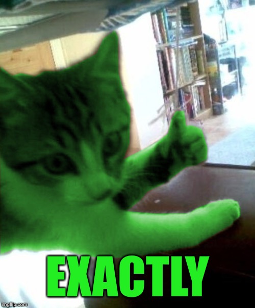 thumbs up RayCat | EXACTLY | image tagged in thumbs up raycat | made w/ Imgflip meme maker