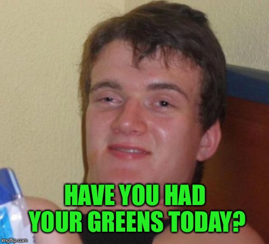10 Guy Meme | HAVE YOU HAD YOUR GREENS TODAY? | image tagged in memes,10 guy | made w/ Imgflip meme maker