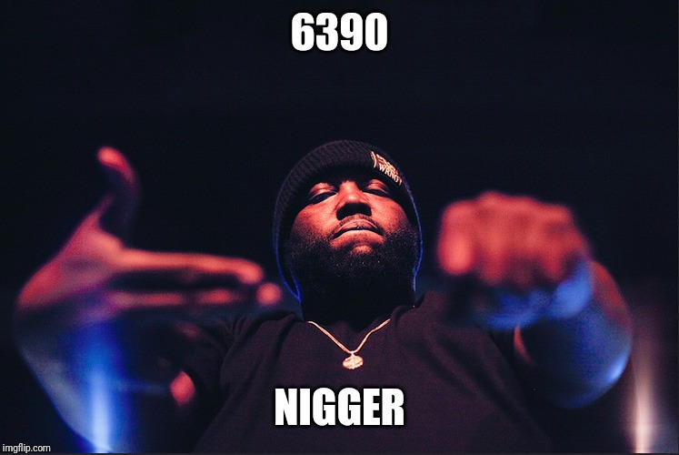 Killer Mike RTJ | 6390; NIGGER | image tagged in killer mike rtj | made w/ Imgflip meme maker