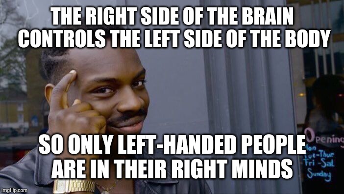 Roll Safe Think About It Meme | THE RIGHT SIDE OF THE BRAIN CONTROLS THE LEFT SIDE OF THE BODY SO ONLY LEFT-HANDED PEOPLE ARE IN THEIR RIGHT MINDS | image tagged in memes,roll safe think about it | made w/ Imgflip meme maker