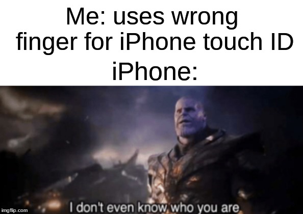 Just get an ID for for all of your fingers. | Me: uses wrong finger for iPhone touch ID; iPhone: | image tagged in thanos,avengers endgame,endgame,iphone,apple,password | made w/ Imgflip meme maker