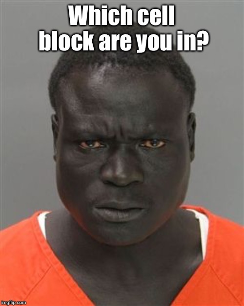 Misunderstood Prison Inmate | Which cell block are you in? | image tagged in misunderstood prison inmate | made w/ Imgflip meme maker