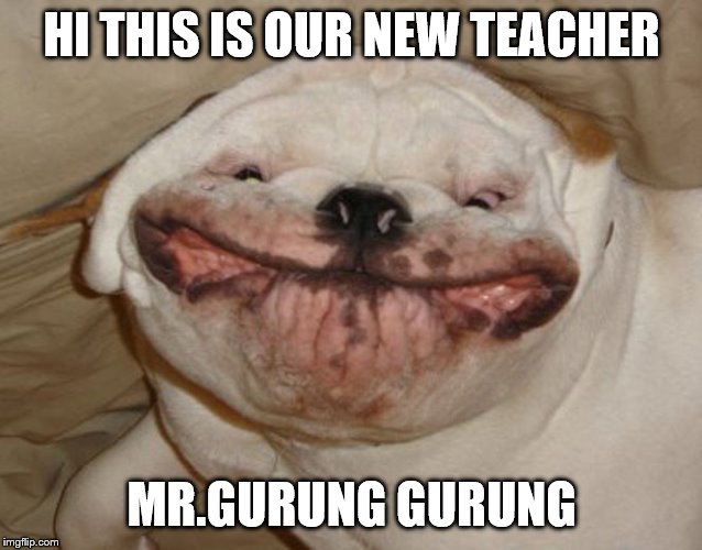 Teacher meme | HI THIS IS OUR NEW TEACHER; MR.GURUNG GURUNG | image tagged in dogs | made w/ Imgflip meme maker