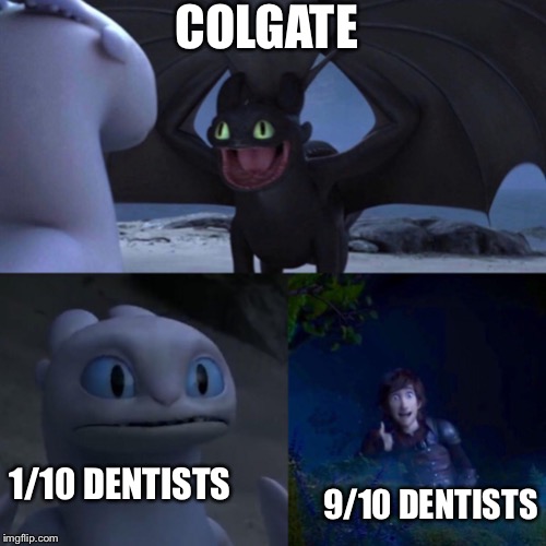 night fury | COLGATE; 1/10 DENTISTS; 9/10 DENTISTS | image tagged in night fury | made w/ Imgflip meme maker