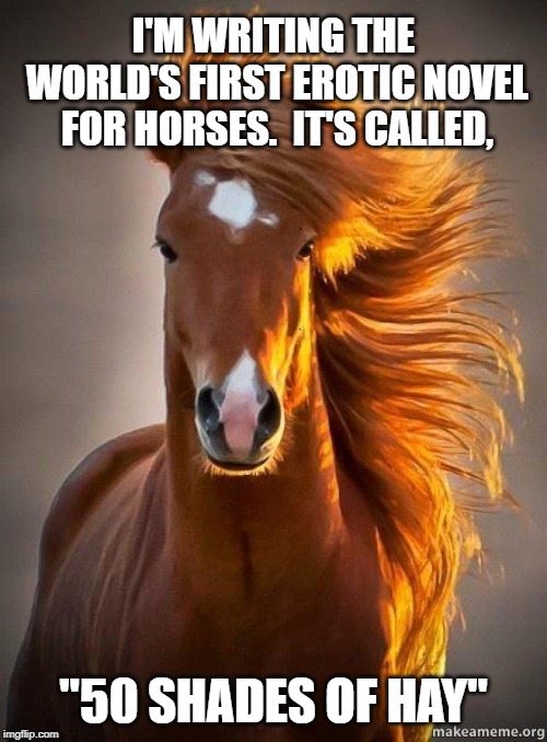 Horse | I'M WRITING THE WORLD'S FIRST EROTIC NOVEL FOR HORSES.  IT'S CALLED, "50 SHADES OF HAY" | image tagged in horse | made w/ Imgflip meme maker