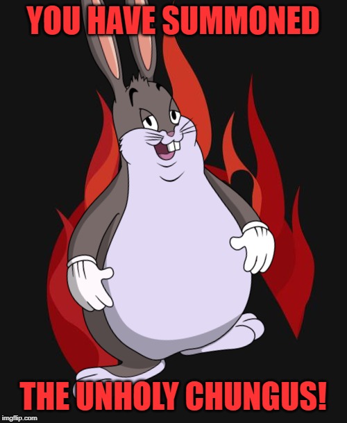 YOU HAVE SUMMONED THE UNHOLY CHUNGUS! | made w/ Imgflip meme maker
