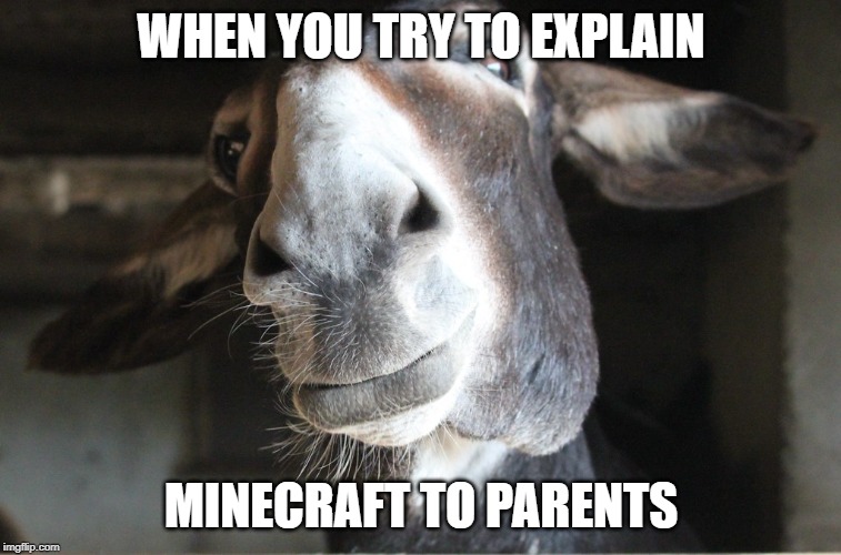 Minecraft Donkey | WHEN YOU TRY TO EXPLAIN; MINECRAFT TO PARENTS | image tagged in minecraft donkey,mitchell_nicholas_045 | made w/ Imgflip meme maker
