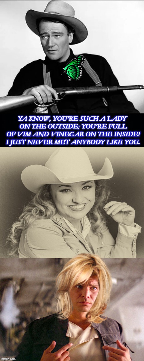YA KNOW, YOU'RE SUCH A LADY ON THE OUTSIDE; YOU'RE FULL OF VIM AND VINEGAR ON THE INSIDE! I JUST NEVER MET ANYBODY LIKE YOU. | image tagged in tv westerns | made w/ Imgflip meme maker