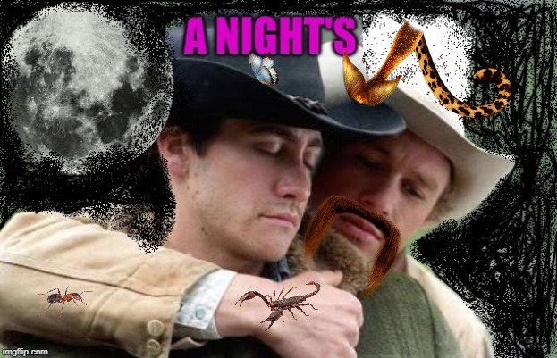 A Night's Tail | image tagged in a night's tail | made w/ Imgflip meme maker