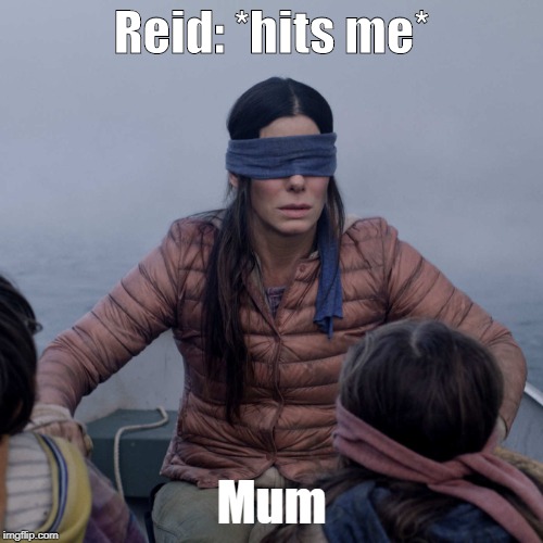 Bird Box | Reid: *hits me*; Mum | image tagged in memes,bird box | made w/ Imgflip meme maker