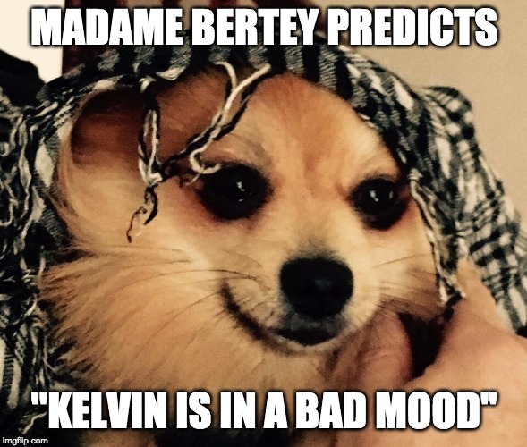 Bertey | MADAME BERTEY PREDICTS; "KELVIN IS IN A BAD MOOD" | image tagged in bertey | made w/ Imgflip meme maker