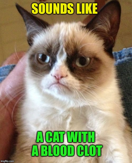 Grumpy Cat Meme | SOUNDS LIKE A CAT WITH A BLOOD CLOT | image tagged in memes,grumpy cat | made w/ Imgflip meme maker