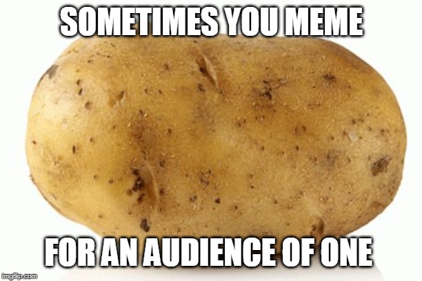 fuck you spud | SOMETIMES YOU MEME FOR AN AUDIENCE OF ONE | image tagged in fuck you spud | made w/ Imgflip meme maker