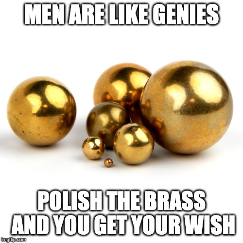 MEN ARE LIKE GENIES; POLISH THE BRASS AND YOU GET YOUR WISH | made w/ Imgflip meme maker