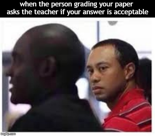 grades | when the person grading your paper  asks the teacher if your answer is acceptable | image tagged in grades,memes,high school,school meme | made w/ Imgflip meme maker