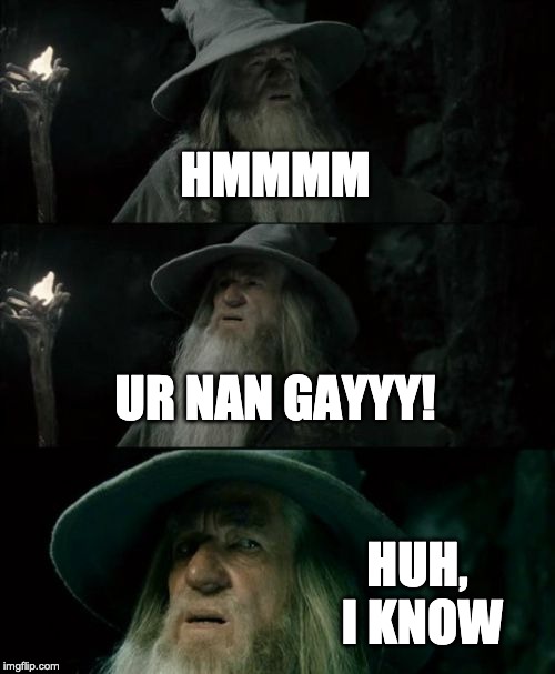 Confused Gandalf | HMMMM; UR NAN GAYYY! HUH,  I KNOW | image tagged in memes,confused gandalf | made w/ Imgflip meme maker