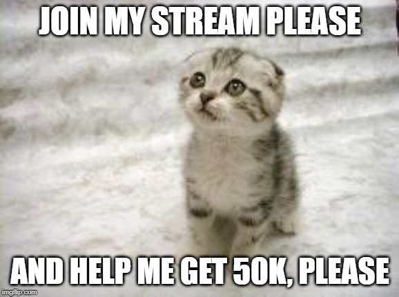 Give this cute little sad cat some help, please... | JOIN MY STREAM PLEASE; AND HELP ME GET 50K, PLEASE | image tagged in memes,sad cat,funny,begging cat,begging,upvotes | made w/ Imgflip meme maker