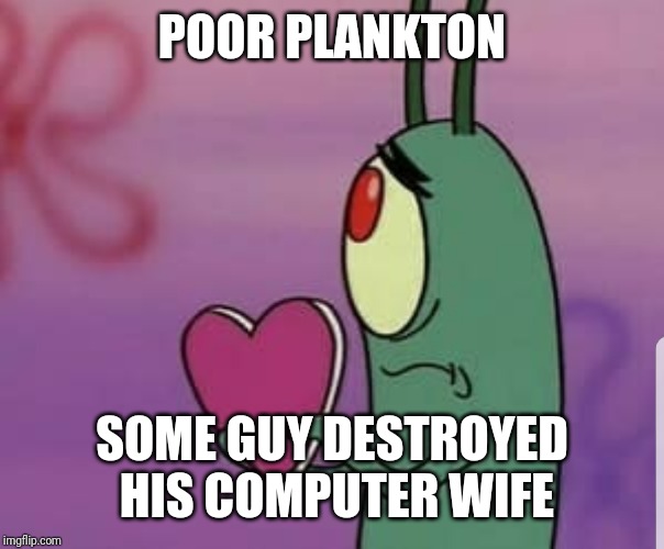 Plankton heart | POOR PLANKTON SOME GUY DESTROYED HIS COMPUTER WIFE | image tagged in plankton heart | made w/ Imgflip meme maker