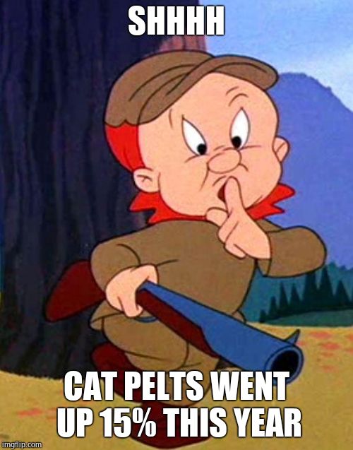 Elmer Fudd | SHHHH CAT PELTS WENT UP 15% THIS YEAR | image tagged in elmer fudd | made w/ Imgflip meme maker
