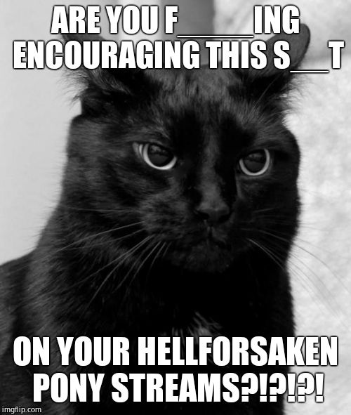 Black cat pissed | ARE YOU F____ING ENCOURAGING THIS S__T ON YOUR HELLFORSAKEN PONY STREAMS?!?!?! | image tagged in black cat pissed | made w/ Imgflip meme maker