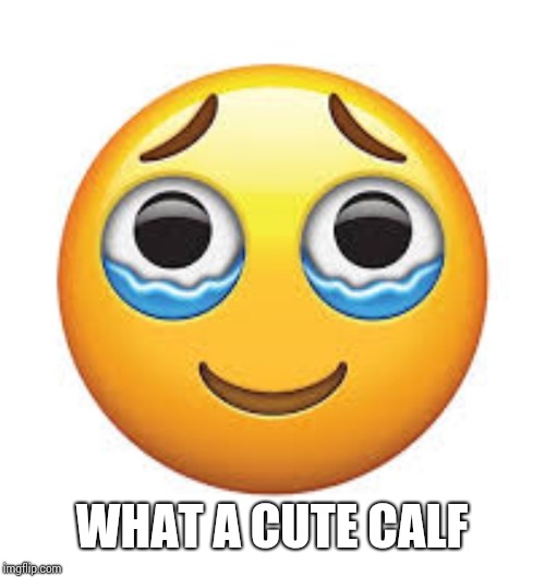 Happy tears | WHAT A CUTE CALF | image tagged in happy tears | made w/ Imgflip meme maker