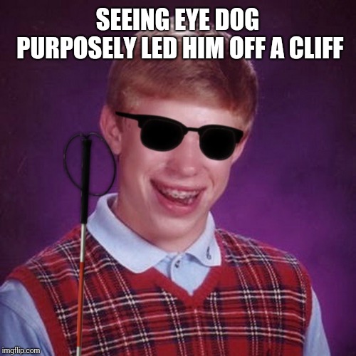 Bad Luck Brian Blind | SEEING EYE DOG PURPOSELY LED HIM OFF A CLIFF | image tagged in bad luck brian blind | made w/ Imgflip meme maker