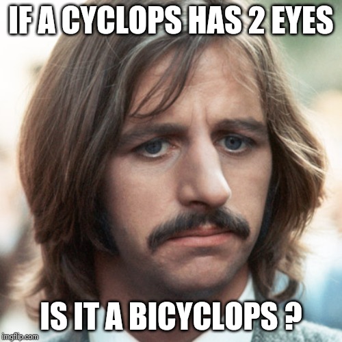Ringo sad | IF A CYCLOPS HAS 2 EYES IS IT A BICYCLOPS ? | image tagged in ringo sad | made w/ Imgflip meme maker