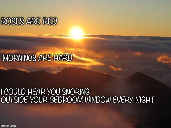 You’re loved from outside | ROSES ARE RED; MORNINGS ARE HARD; I COULD HEAR YOU SNORING OUTSIDE YOUR BEDROOM WINDOW EVERY NIGHT | image tagged in good morning | made w/ Imgflip meme maker