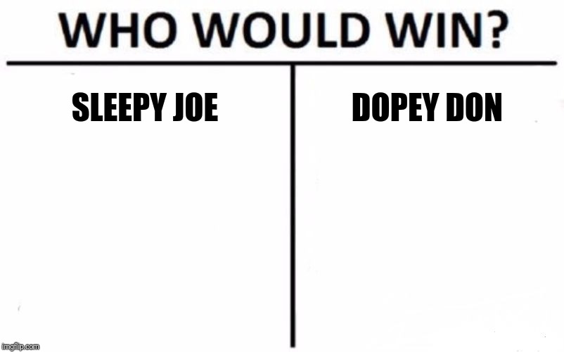 Who Would Win? | SLEEPY JOE; DOPEY DON | image tagged in memes,who would win | made w/ Imgflip meme maker