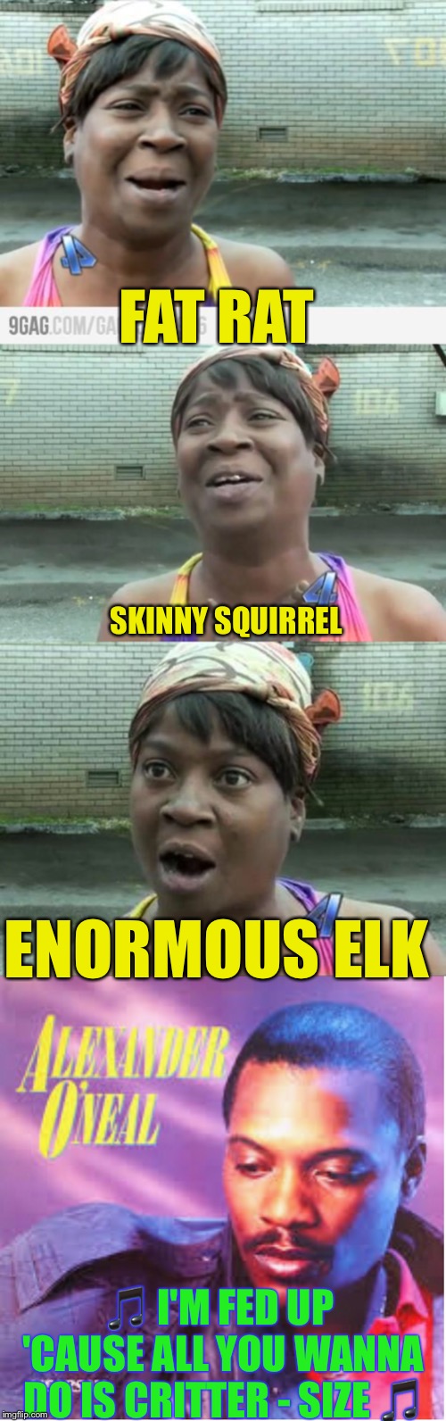 Oh ‘ Neal ! | FAT RAT; SKINNY SQUIRREL; ENORMOUS ELK; 🎵 I'M FED UP 'CAUSE ALL YOU WANNA DO IS CRITTER - SIZE 🎵 | image tagged in sweet brown,criticize,critters,misheard lyrics,80s music,alexander oneal | made w/ Imgflip meme maker