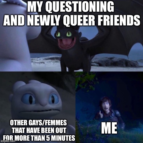 night fury | MY QUESTIONING AND NEWLY QUEER FRIENDS; OTHER GAYS/FEMMES THAT HAVE BEEN OUT FOR MORE THAN 5 MINUTES; ME | image tagged in night fury | made w/ Imgflip meme maker