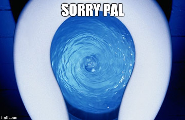 toilet flushing | SORRY PAL | image tagged in toilet flushing | made w/ Imgflip meme maker