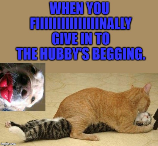 when you give in to the hubby's begging | WHEN YOU FIIIIIIIIIIIIIIINALLY GIVE IN TO THE HUBBY'S BEGGING. | image tagged in when you give in to the hubby's begging | made w/ Imgflip meme maker