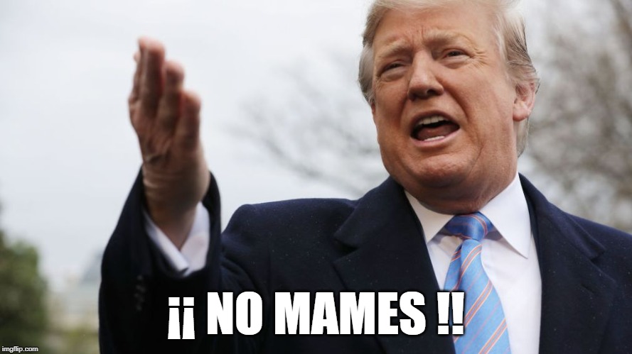 Trumped | ¡¡ NO MAMES !! | image tagged in trump,no mames,no,mames,donald | made w/ Imgflip meme maker