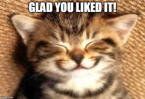 Happy cat | GLAD YOU LIKED IT! | image tagged in happy cat | made w/ Imgflip meme maker