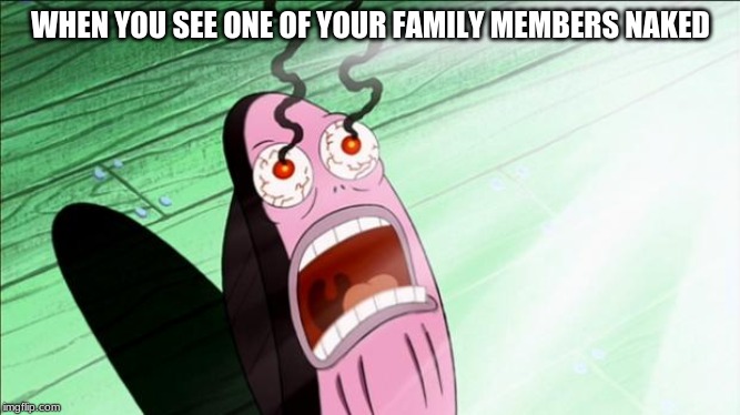 Spongebob My Eyes | WHEN YOU SEE ONE OF YOUR FAMILY MEMBERS NAKED | image tagged in spongebob my eyes | made w/ Imgflip meme maker