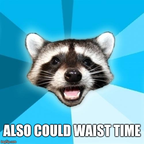 Lame Pun Coon Meme | ALSO COULD WAIST TIME | image tagged in memes,lame pun coon | made w/ Imgflip meme maker