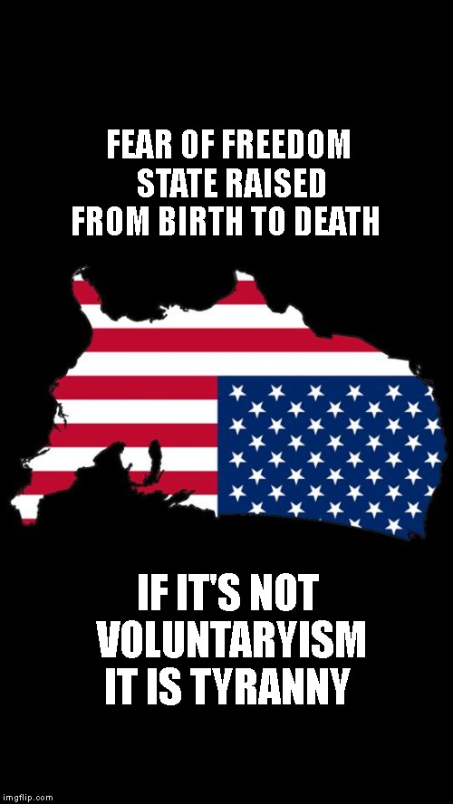deUnited States of AmeDia | FEAR OF FREEDOM STATE RAISED FROM BIRTH TO DEATH; IF IT'S NOT VOLUNTARYISM IT IS TYRANNY | image tagged in deunited states of amedia | made w/ Imgflip meme maker