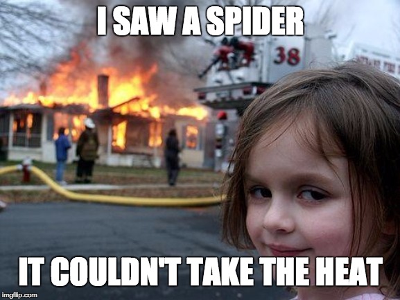 Disaster Girl Meme | I SAW A SPIDER; IT COULDN'T TAKE THE HEAT | image tagged in memes,disaster girl | made w/ Imgflip meme maker