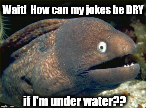 Bad Joke Eel Meme | Wait!  How can my jokes be DRY; if I'm under water?? | image tagged in memes,bad joke eel | made w/ Imgflip meme maker