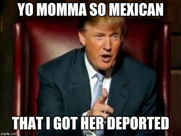 Donald Trump | YO MOMMA SO MEXICAN; THAT I GOT HER DEPORTED | image tagged in donald trump | made w/ Imgflip meme maker