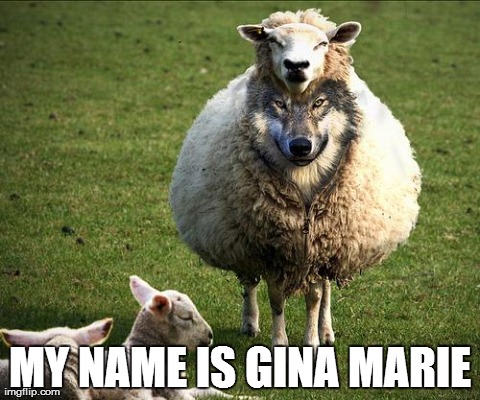 Image tagged in funny,animals,sheep,wolf - Imgflip