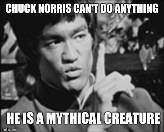 One Bruce Lee | CHUCK NORRIS CAN'T DO ANYTHING; HE IS A MYTHICAL CREATURE | image tagged in one bruce lee | made w/ Imgflip meme maker