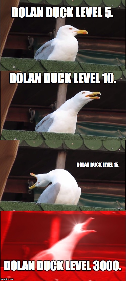 Inhaling Seagull Meme | DOLAN DUCK LEVEL 5. DOLAN DUCK LEVEL 10. DOLAN DUCK LEVEL 15. DOLAN DUCK LEVEL 3000. | image tagged in memes,inhaling seagull | made w/ Imgflip meme maker