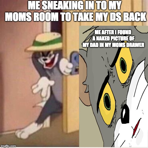 Sneaky tom | ME SNEAKING IN TO MY MOMS ROOM TO TAKE MY DS BACK; ME AFTER I FOUND A NAKED PICTURE OF MY DAD IN MY MOMS DRAWER | image tagged in sneaky tom | made w/ Imgflip meme maker