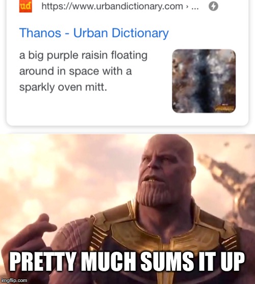 Couldn’t be more accurate, really. | PRETTY MUCH SUMS IT UP | image tagged in thanos snap,funny thanos | made w/ Imgflip meme maker
